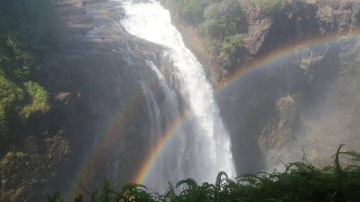 Guided Tour of the Falls (Zimbabwe side)