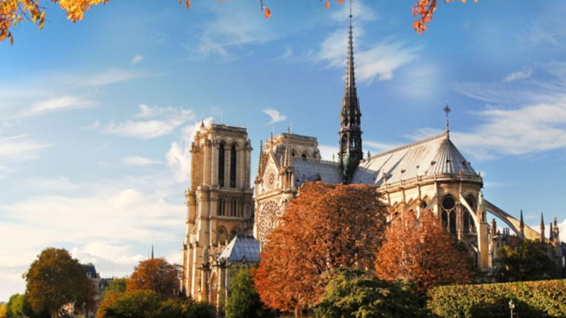 Guided tour of Ile de la Cité and audio guide to discover Notre-Dame (free entry)