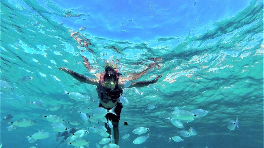 Ibiza Boat Trip, Beaches, and Cave Tour with Snorkel Equipment