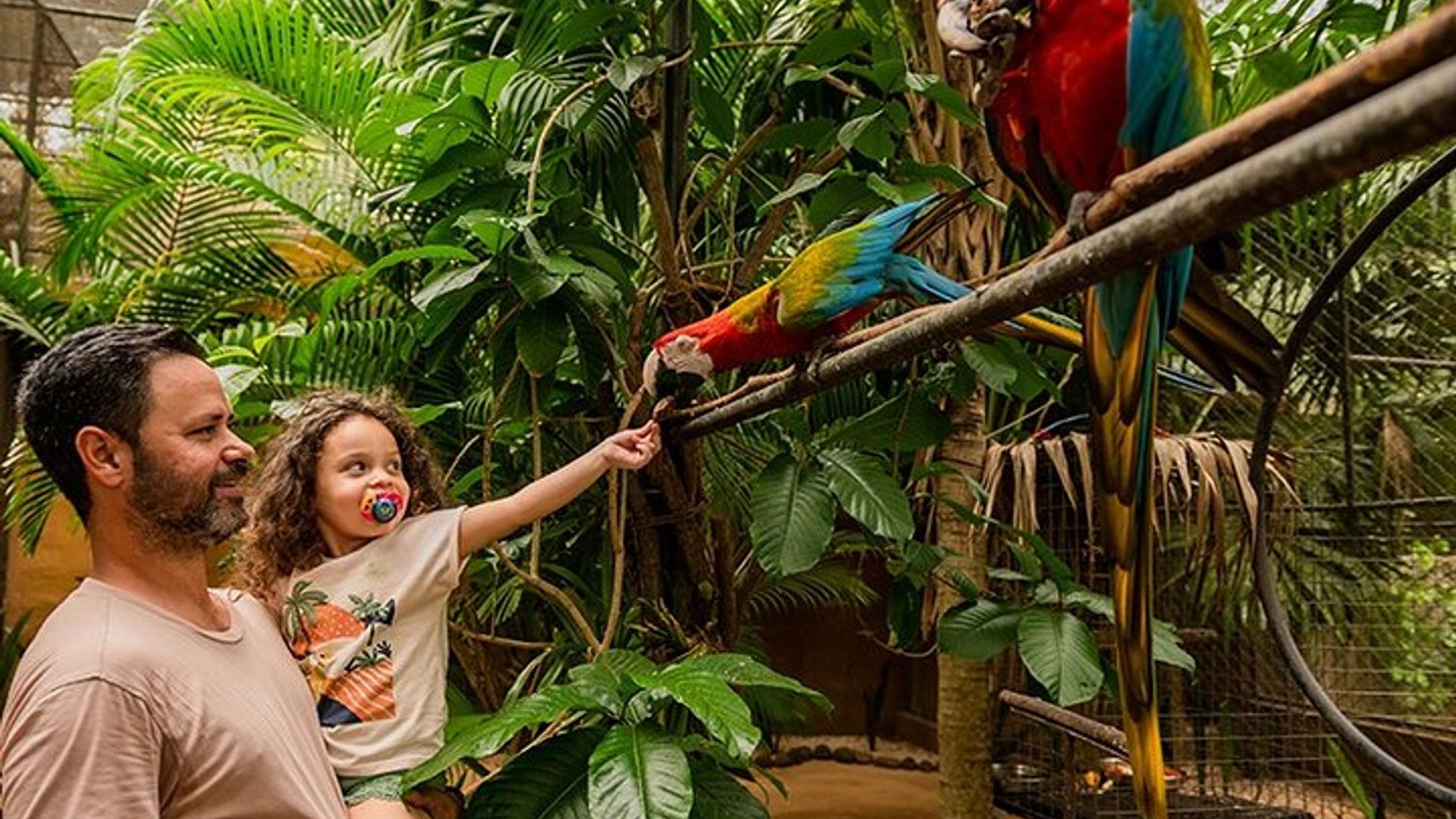 Casela World of Adventures Admission Ticket