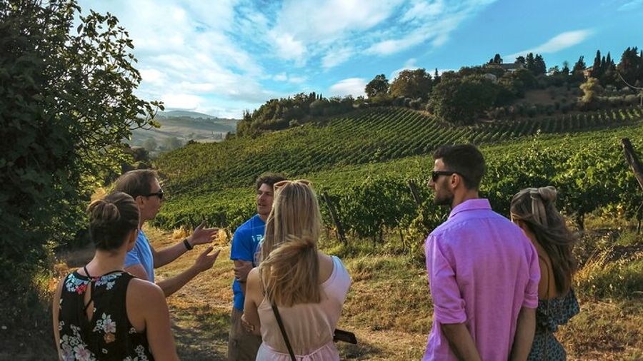 Siena Winery Tour and Wine Tasting