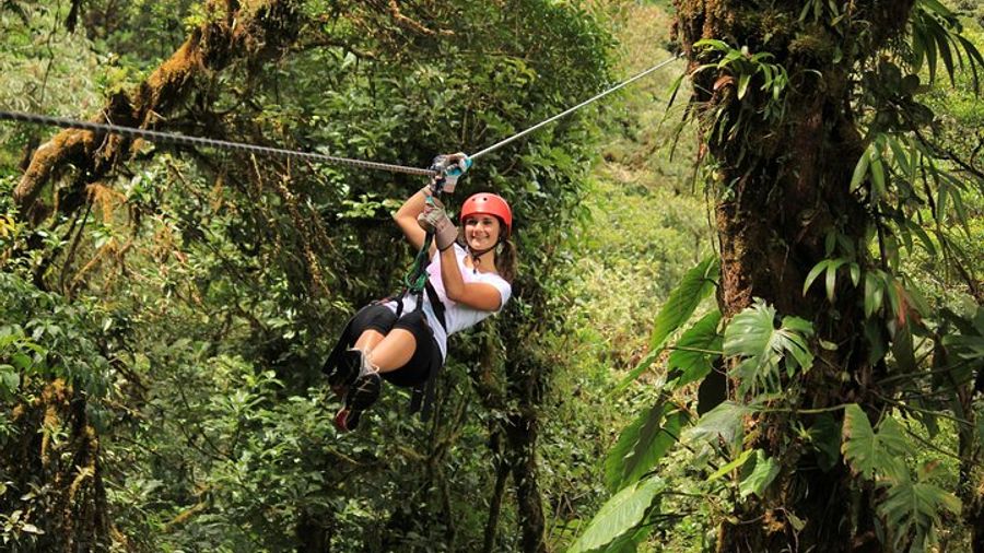 Monteverde Forest Private Canopy Tour and Butterfly Park