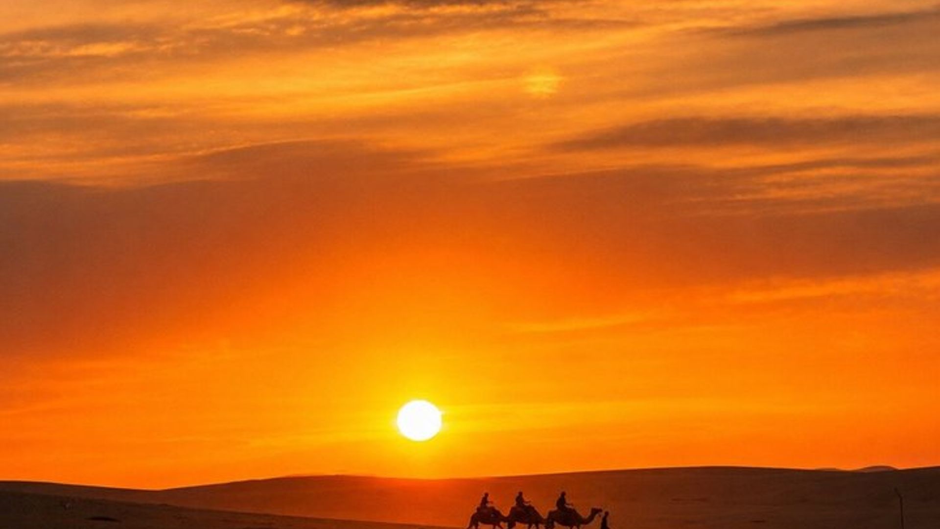 Marrakech: Sunset, Dinner Show & Stargazing in Agafay Desert