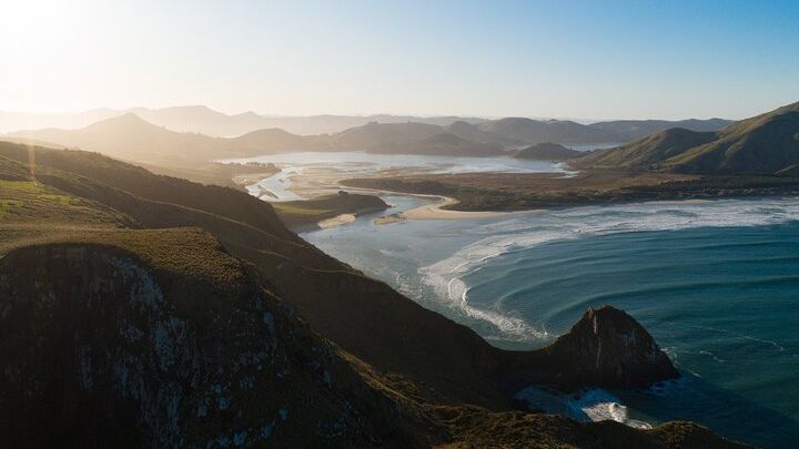Otago Peninsula: Small-Group Wildlife Tour From Dunedin