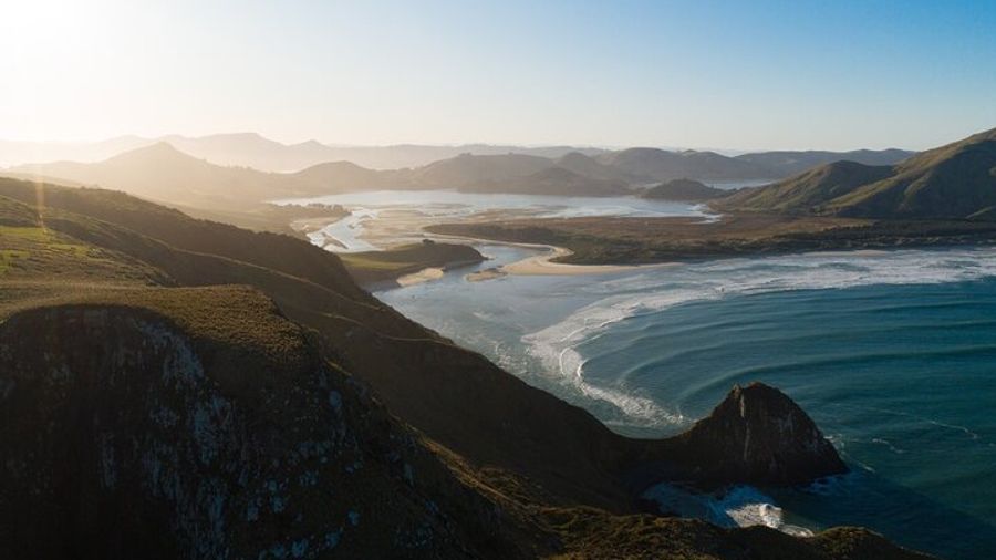 Otago Peninsula: Small-Group Wildlife Tour From Dunedin