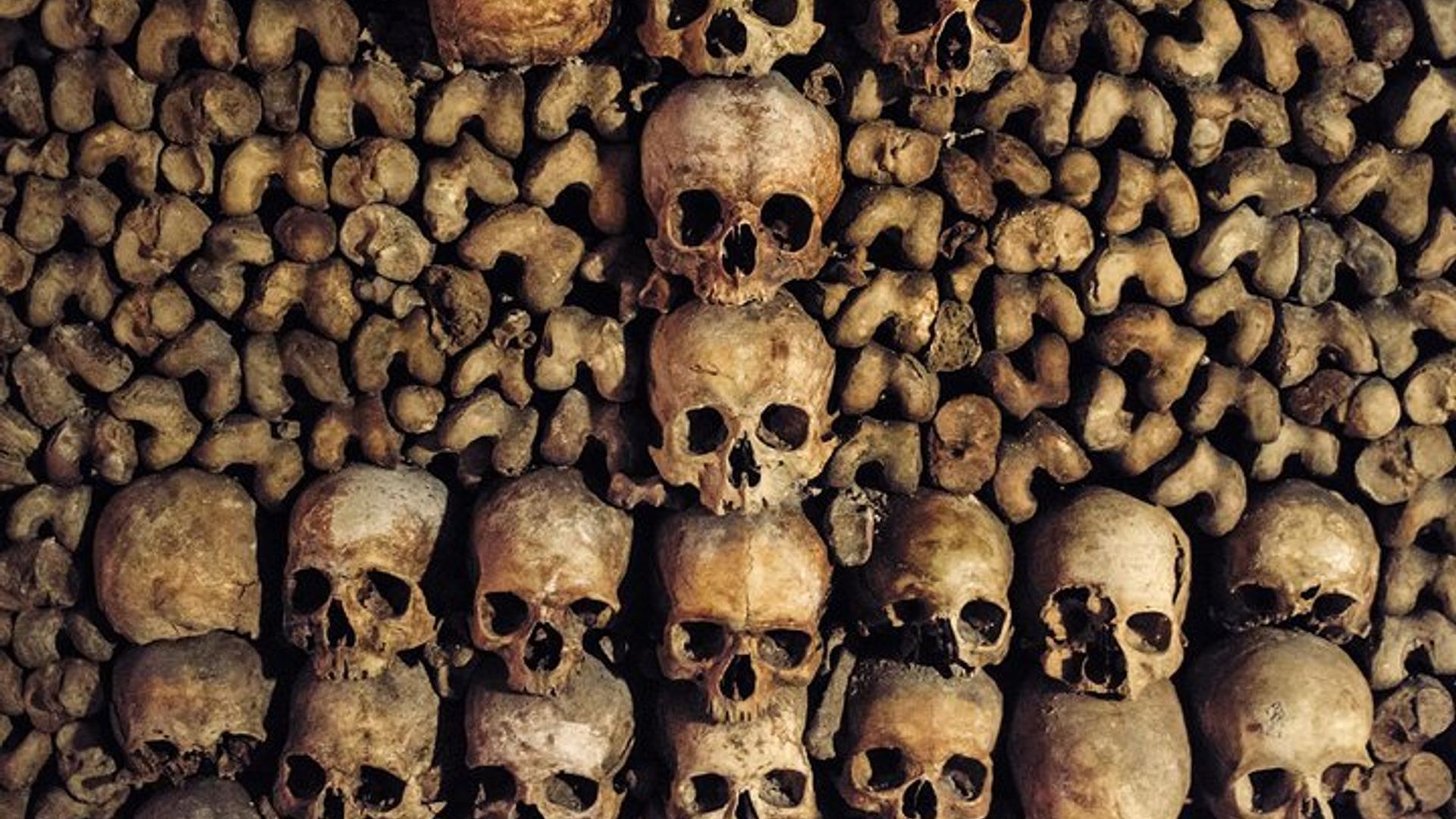 Paris Catacombs Guided Small-Group Tour With Admission Tickets