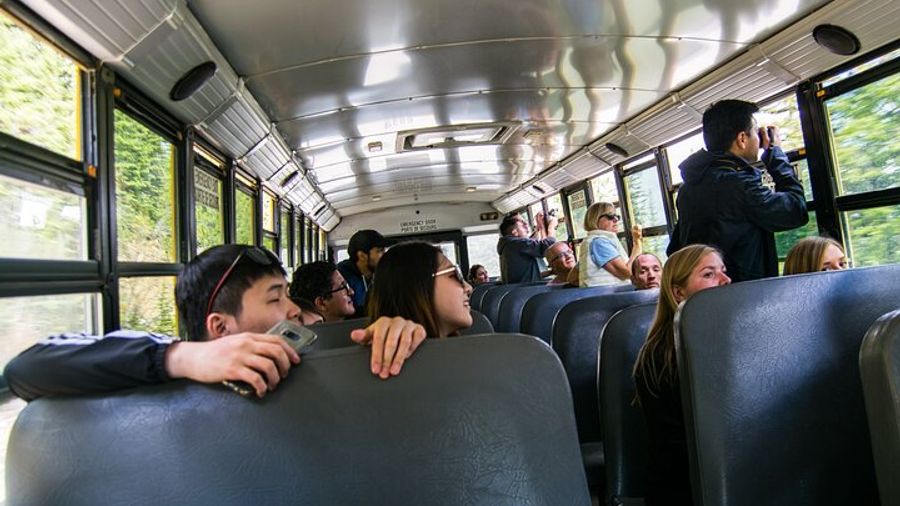 Banff Hop-On and Hop-Off Bus Tour with On-Board Assistant