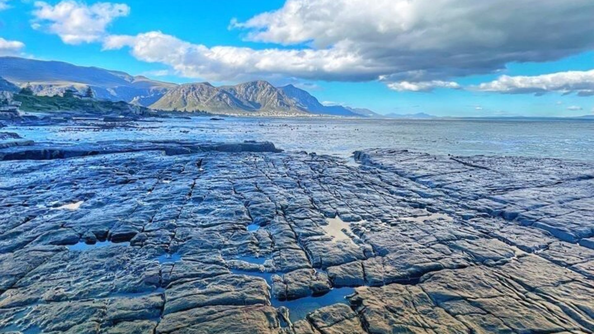 Hermanus Private Whale Watching Tour With Hotel Pickup