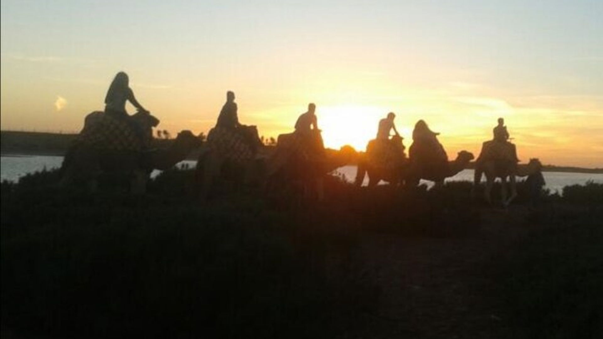 Balade à dos de chameau au coucher du soleil à Agadir avec dîner
