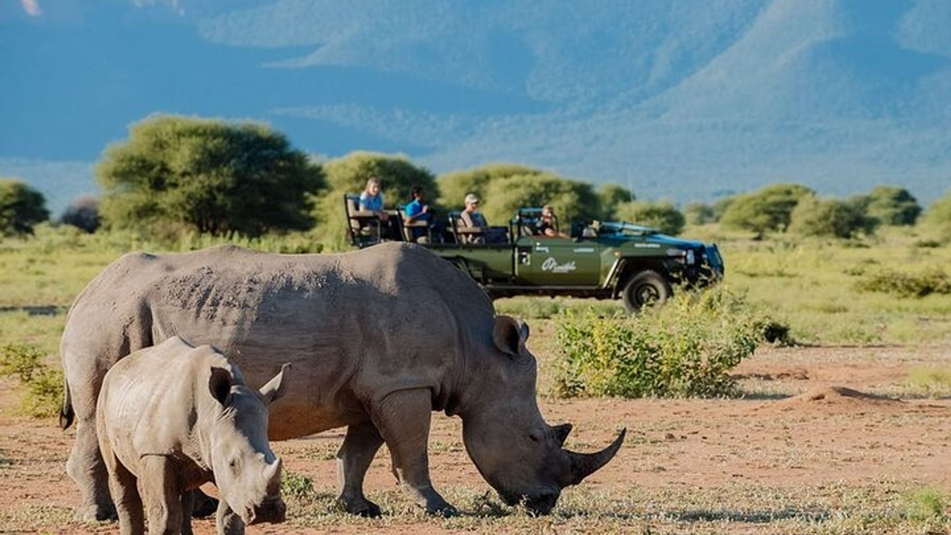 7 Days Uganda Gorilla and Wildlife safari