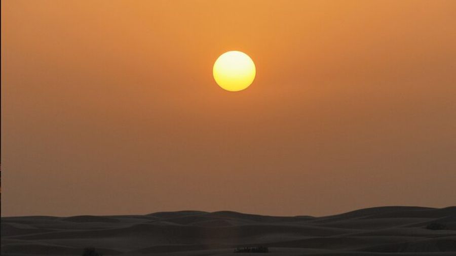 Doha Sunset Desert Safari: Dune Bashing, Camel Ride & Inland Sea
