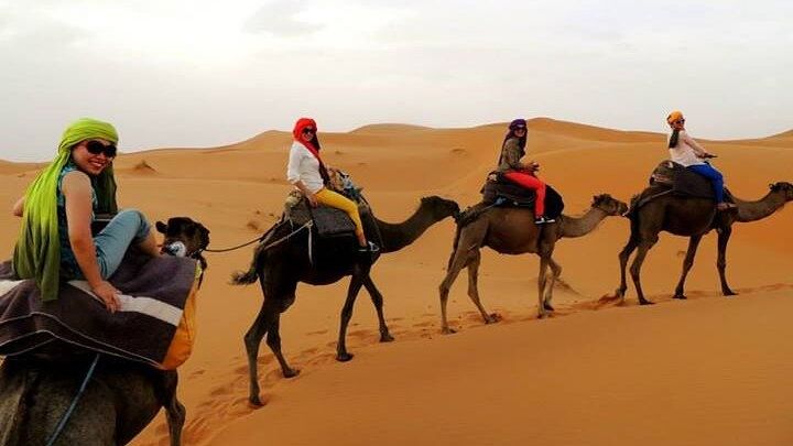 Shared group Fez to Fez Sahara tour 2Days/1Night