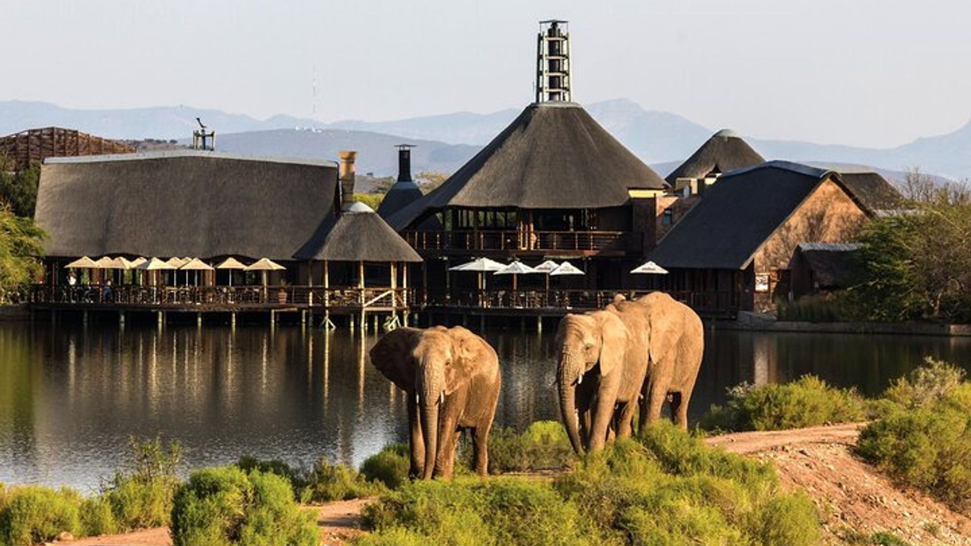 Excursión de 2 días a la ruta del jardín en grupo pequeño Big 5 Safari Tour desde Ciudad del Cabo