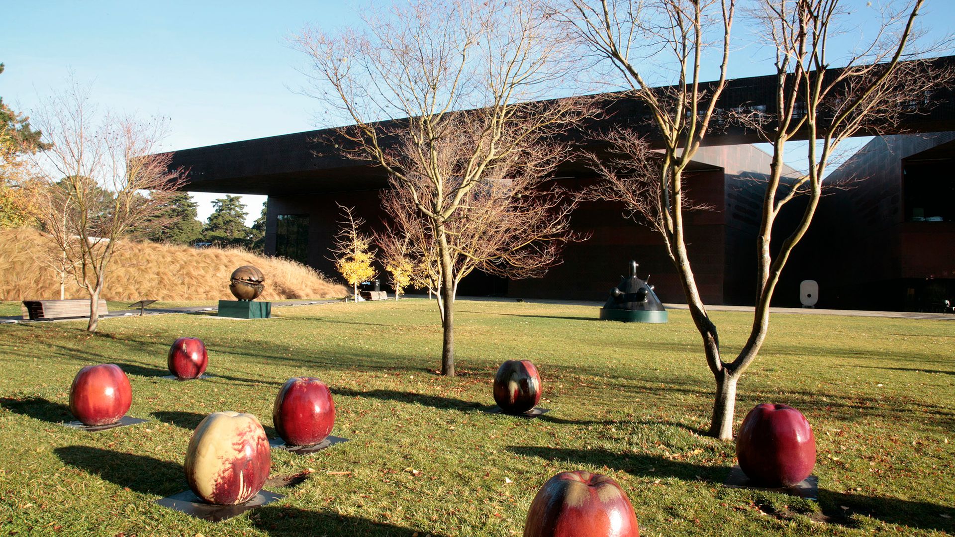 de Young Museum: Entry Ticket image 2