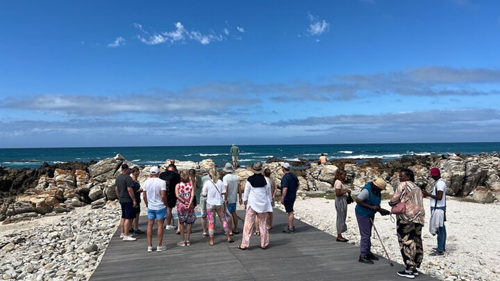 Cape Agulhas, visite privée d'une journée et dégustation de vin au départ du Cap