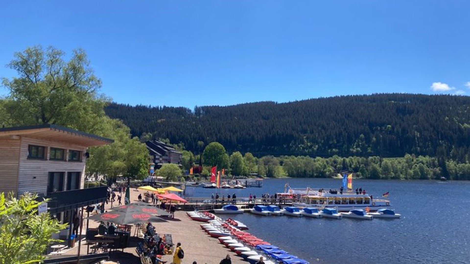From Strasbourg: Visit to the Black Forest in Triberg, Titisee, Freiburg