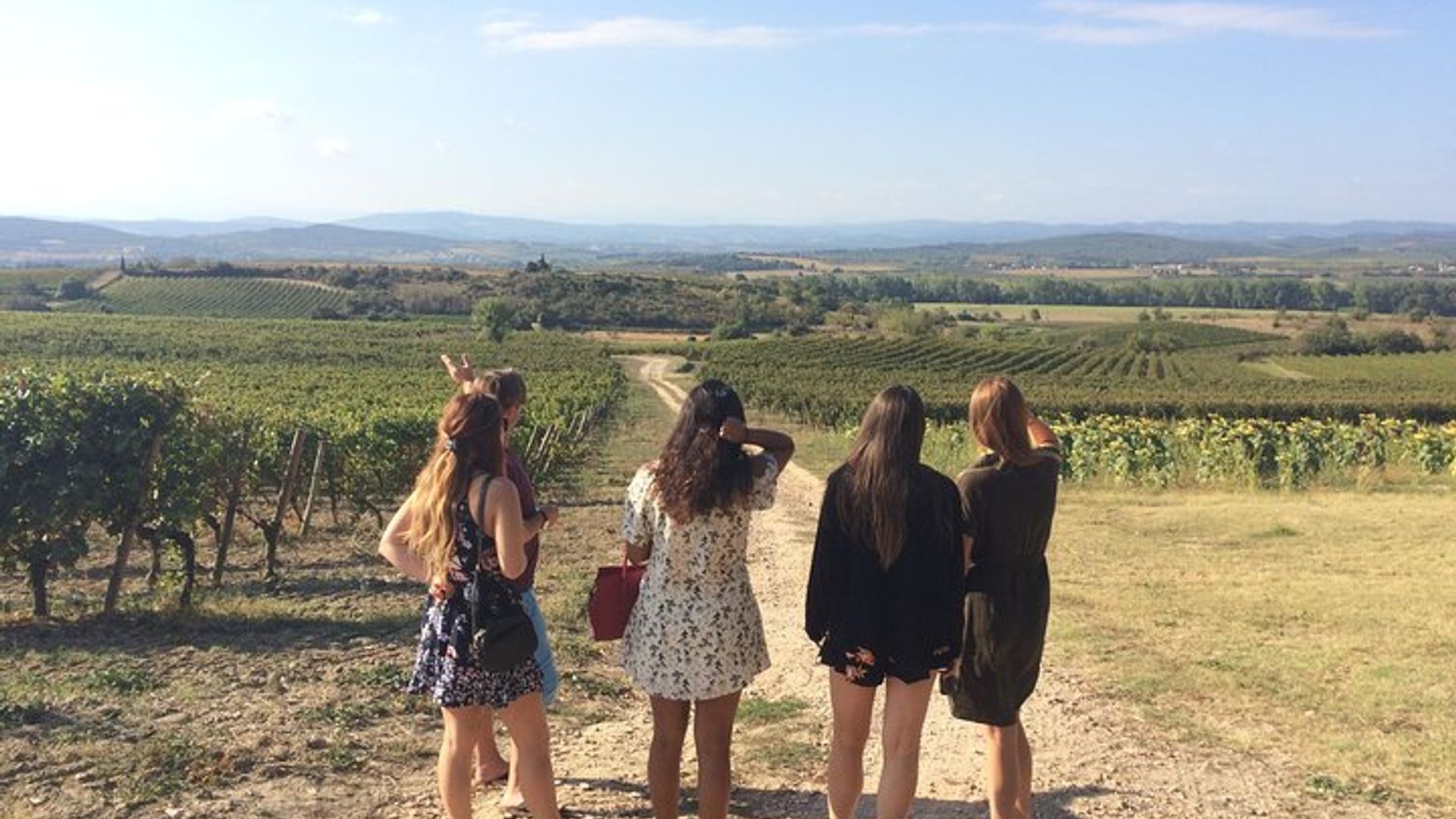 Minerve privada de Carcassone, canal Midi, tour de cata de vinos
