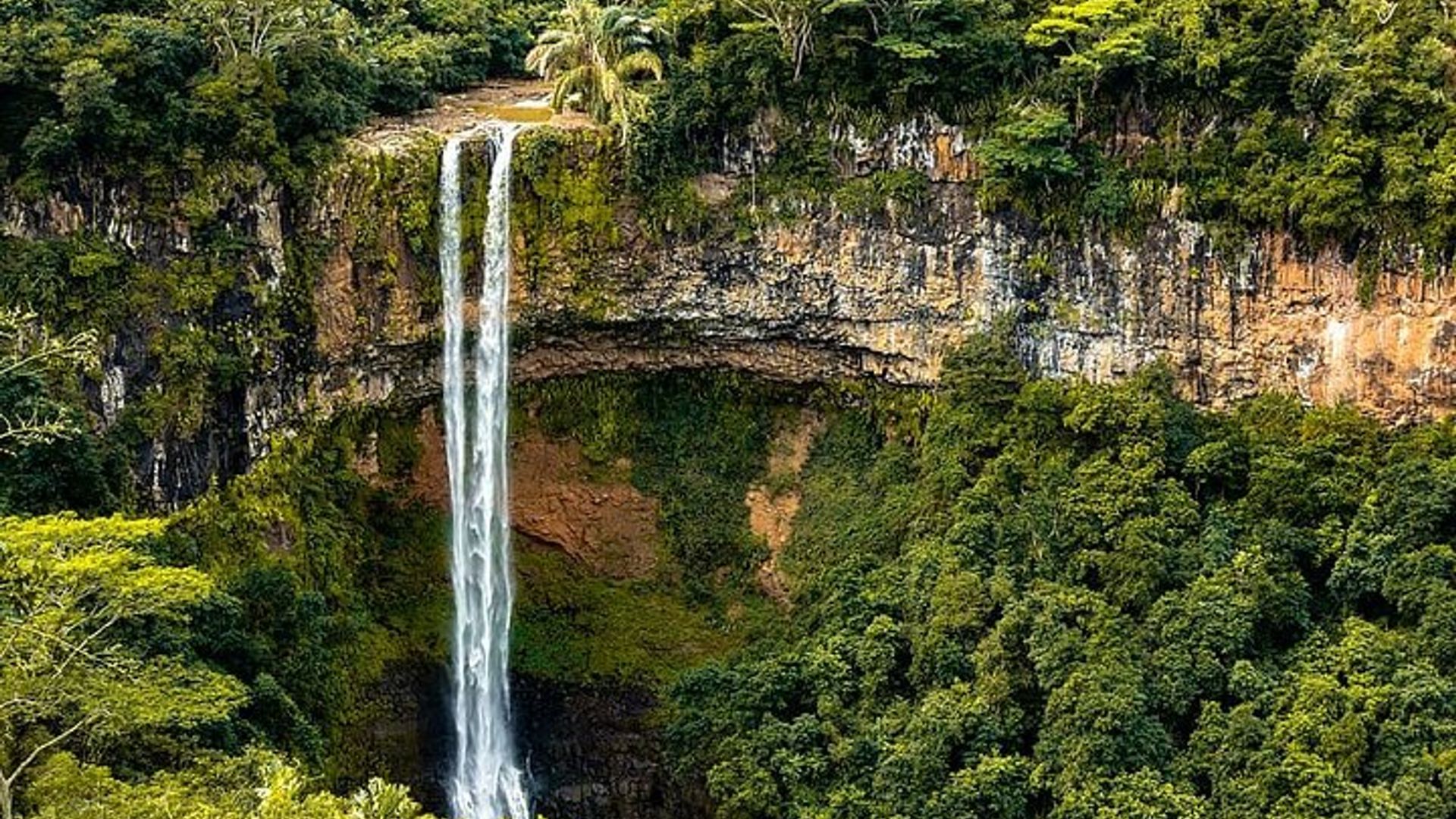 EXOTIQUE Sud-Ouest de l'île Maurice avec Ebony JEEP Forest Safari & Déjeuner