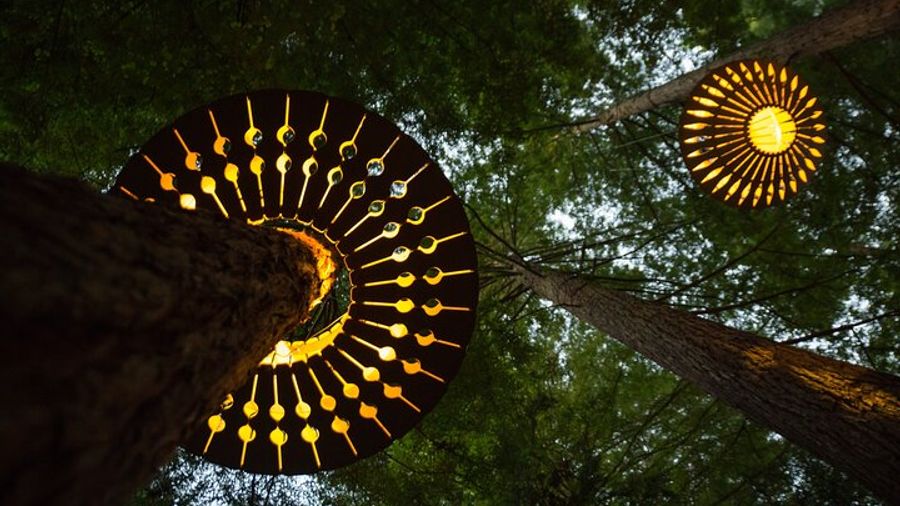 Rotorua: Redwoods Adventure 3-Hours