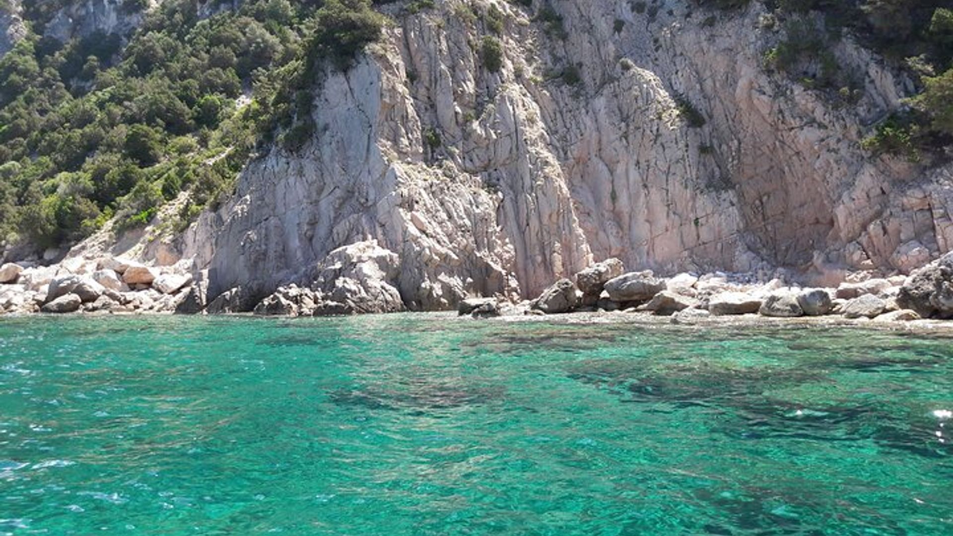 Boat tour to explore the Marine Protected Area of Tavolara