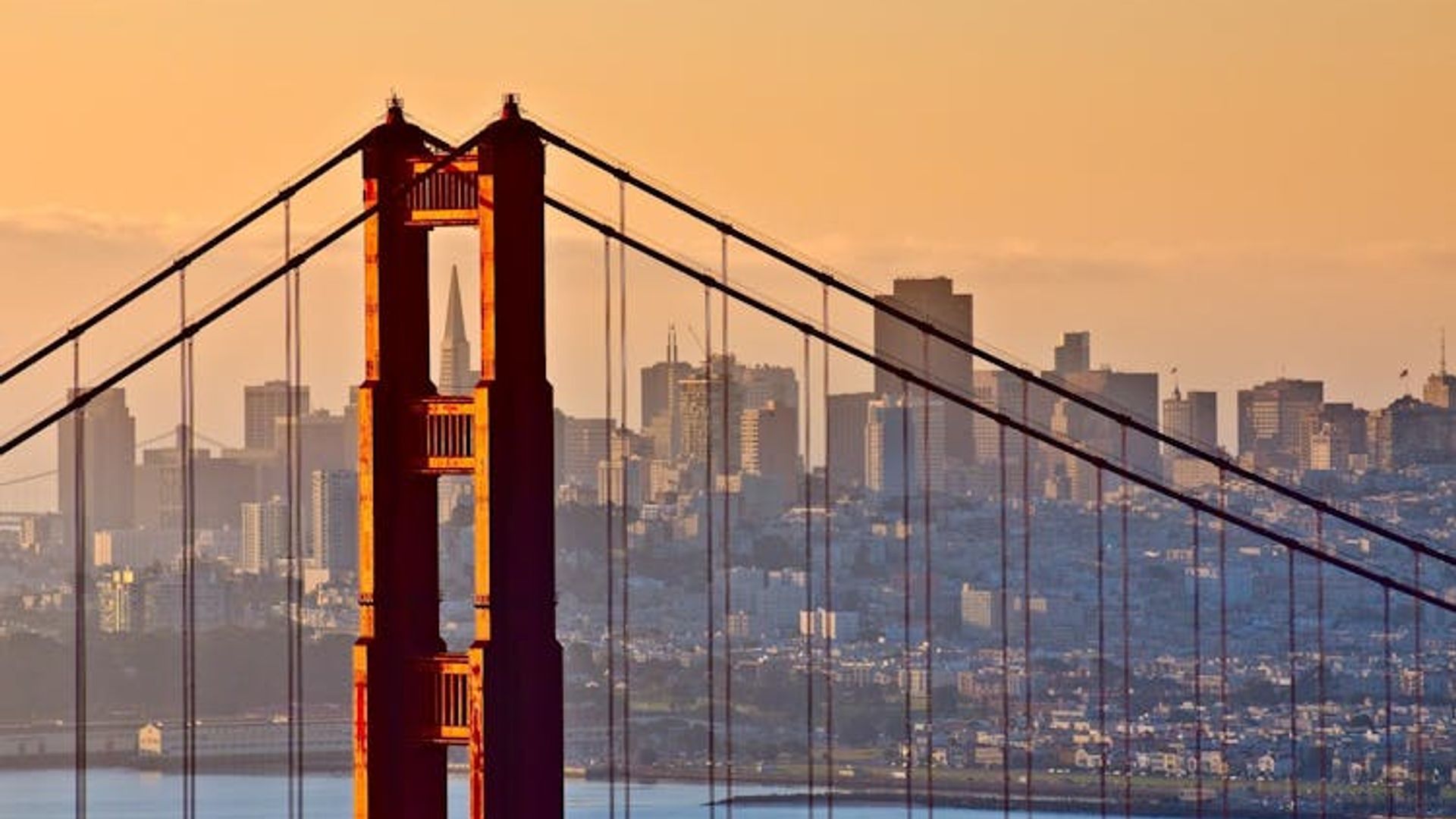Alcatraz tickets with San Francisco city tour image 3