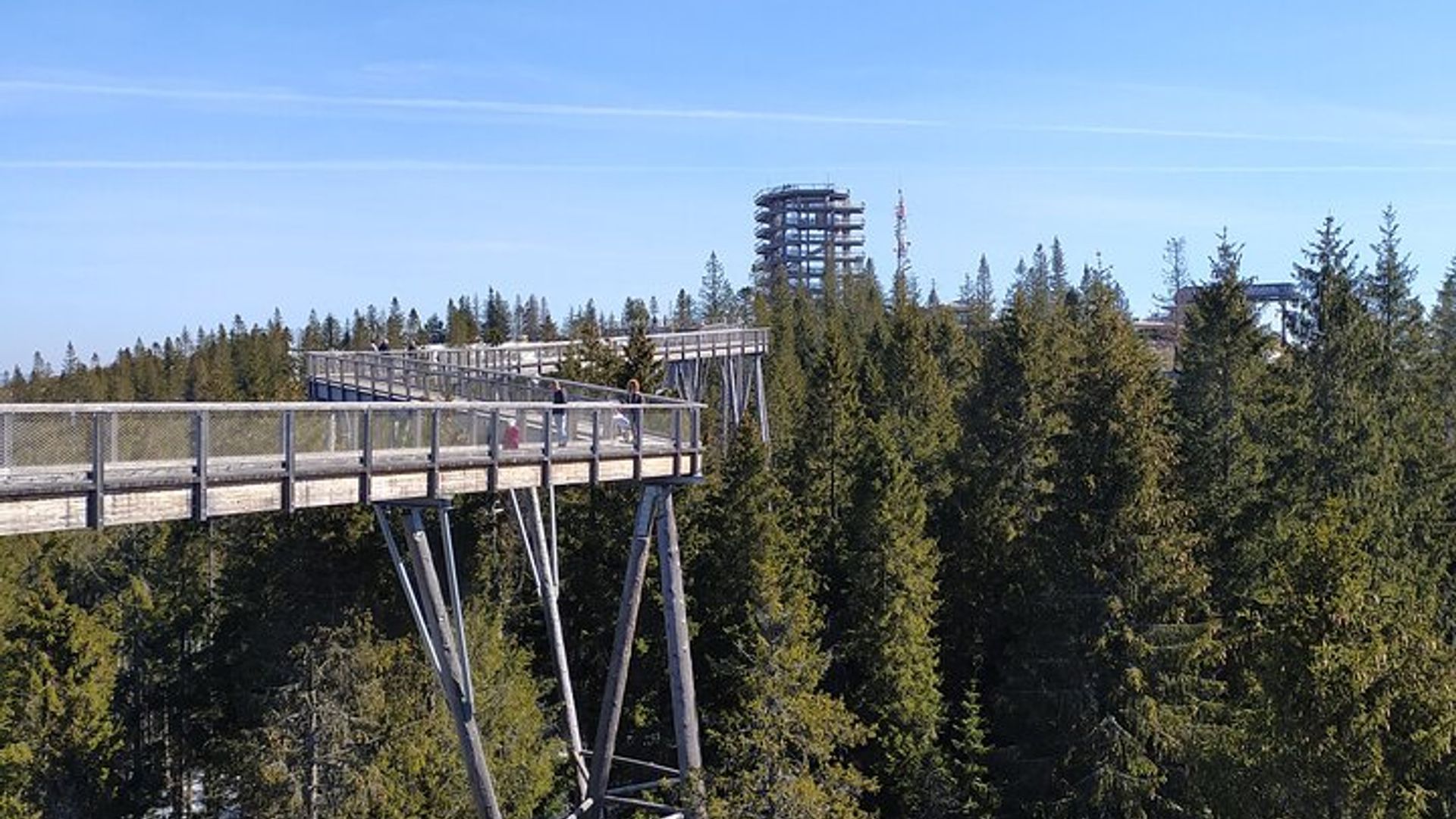 Tree Top Walk en Slovaquie et visite privée de Zakopane au départ de Cracovie