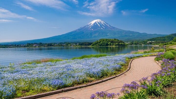 Tokyo Mount Fuji Private Tour