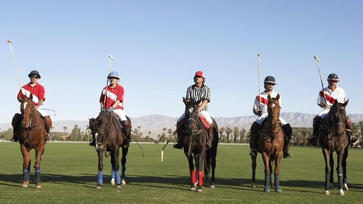 Buenos Aires Polo Match and Lesson With Lunch
