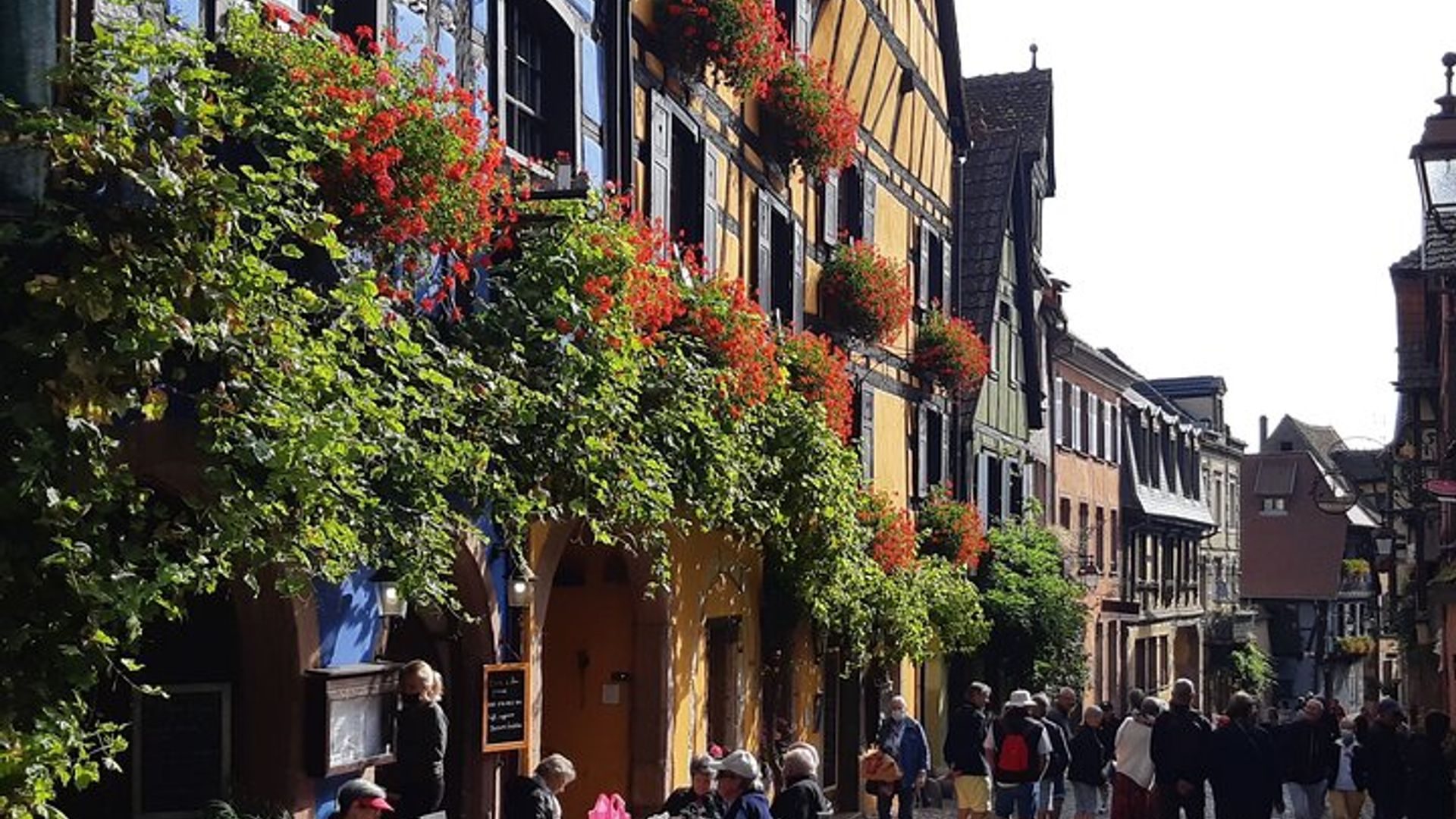 Alsace Wine Route Tour with Tasting Session from Colmar