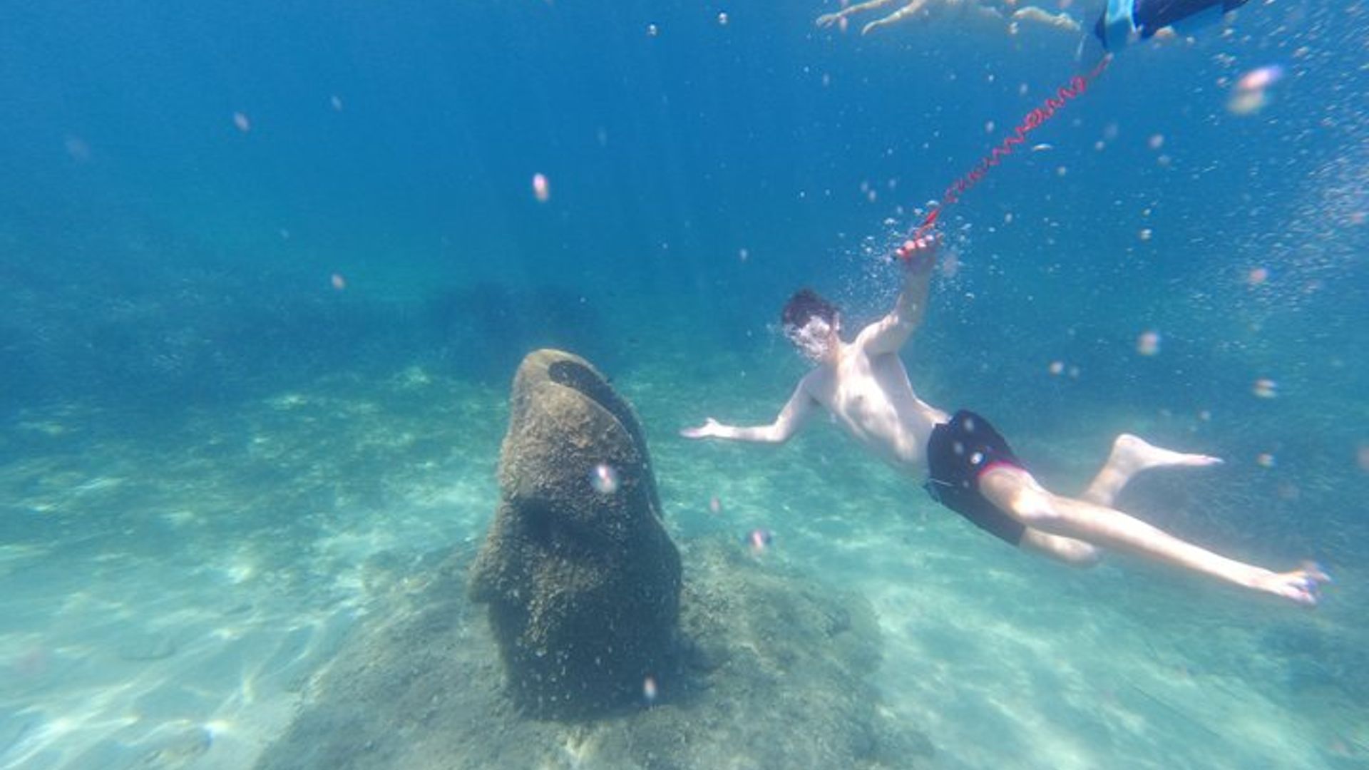 Excursión privada de medio día en velero y snorkel en las islas Lerins de Cannes