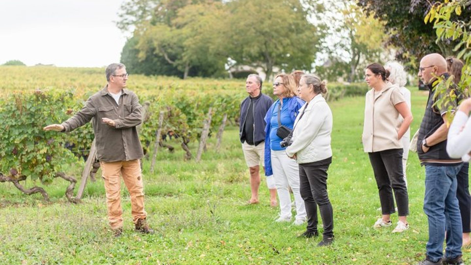 Descubrimiento de vinos en Domaine Beaumont Distré-Saumur