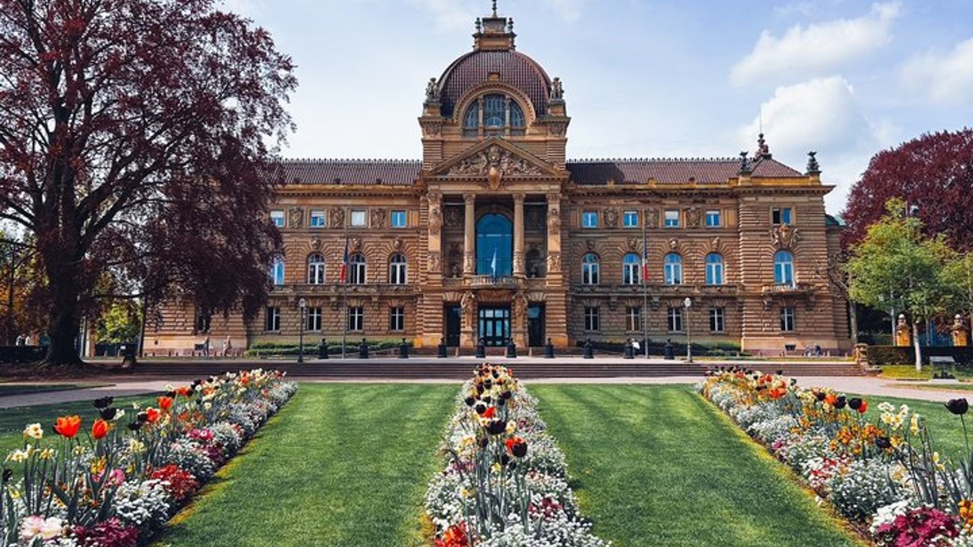 Strasbourg Grande Ile History Small-Group Guided Walking Tour