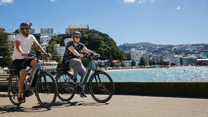 Half-Day E-Bike Rental with Helmet and Map, Wellington