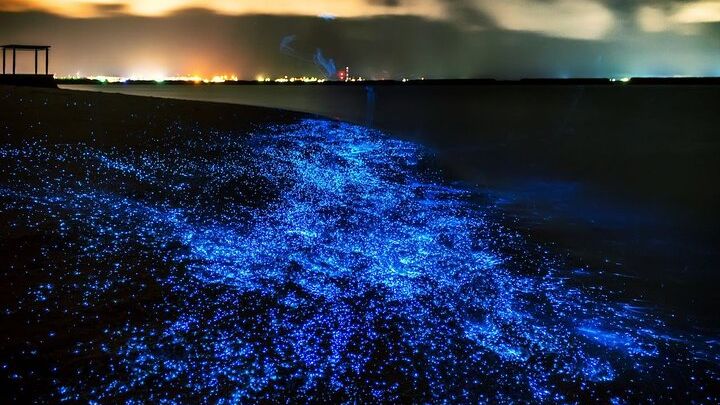 Phuket: Phang Nga Bay Bioluminescence Canoe Tour