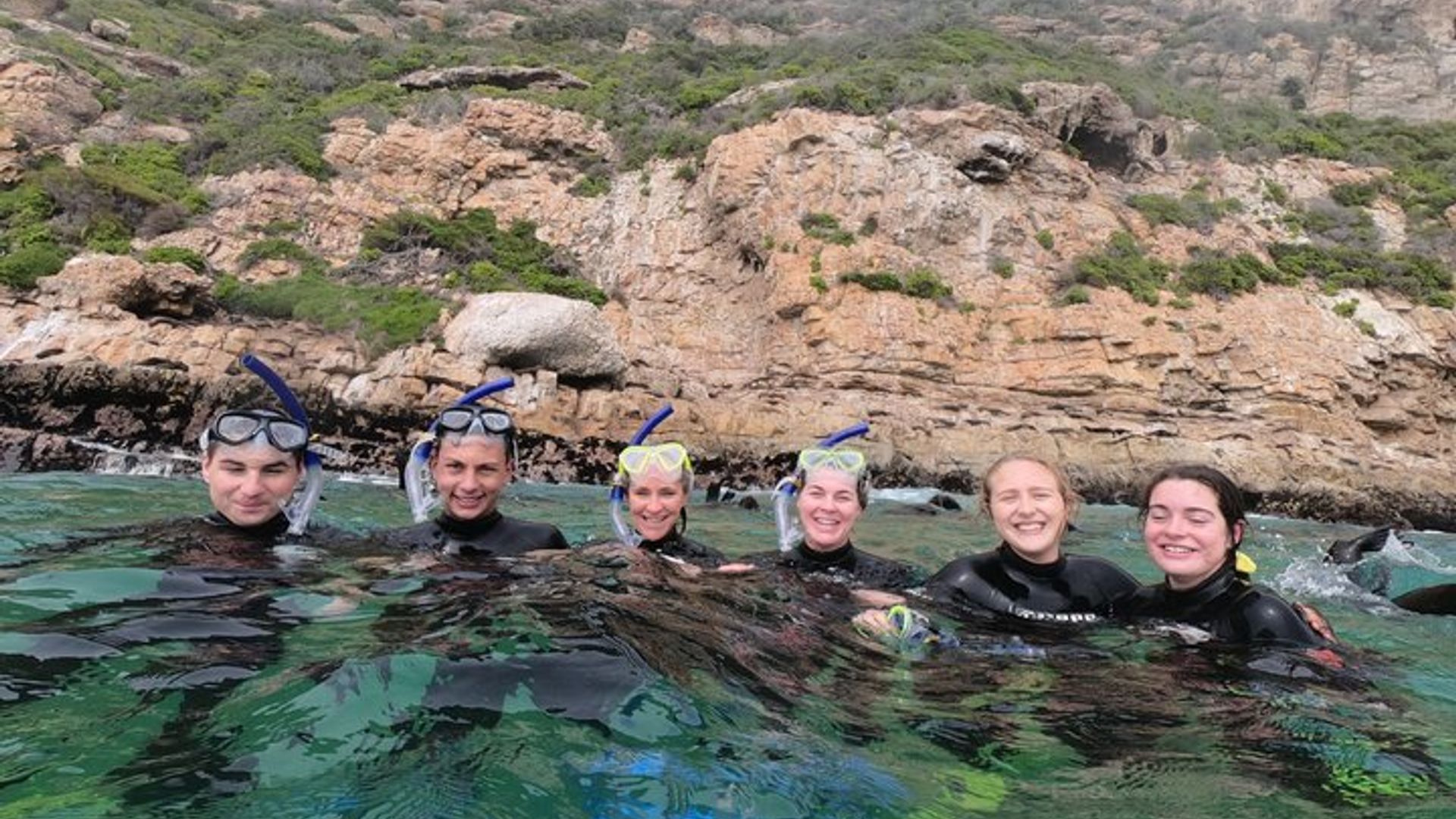 Robbenschwimmen in Plettenberg Bay