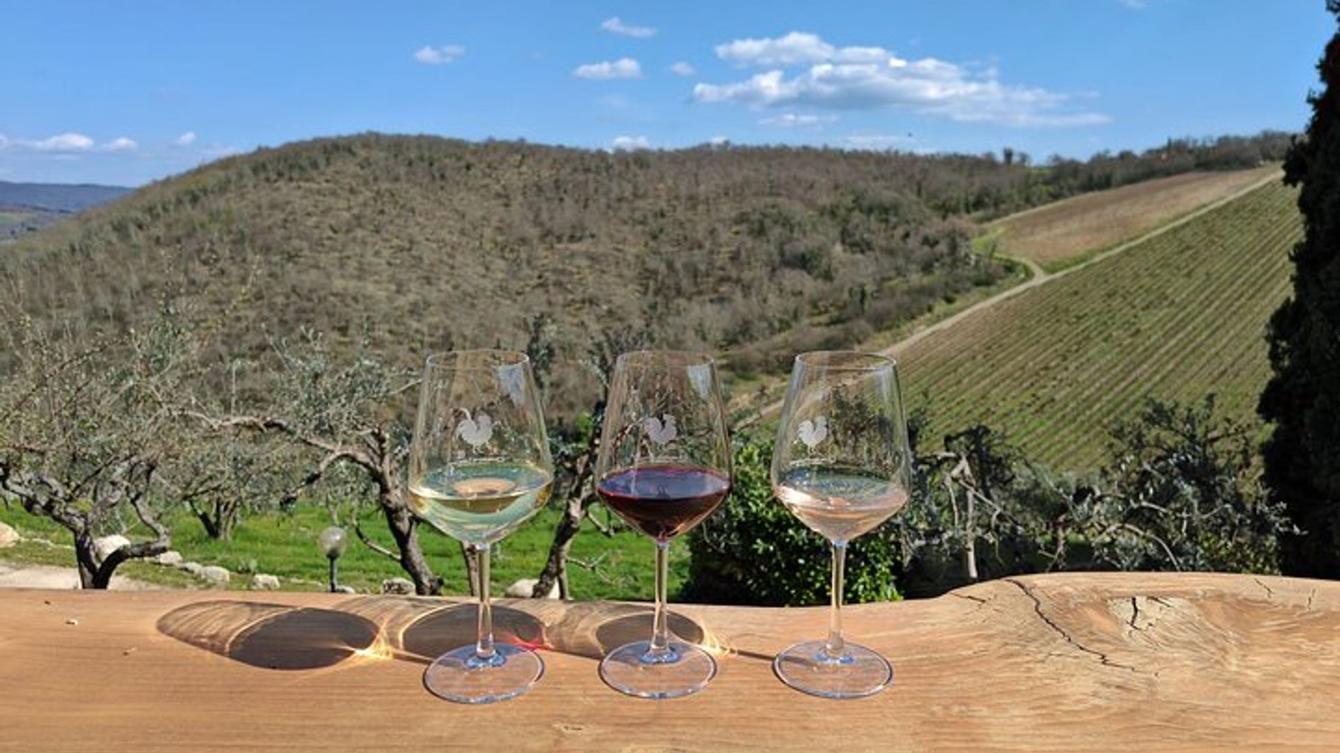Dégustation de vin d'Albufeira : Visite de la cave Boutique & Silves historiques