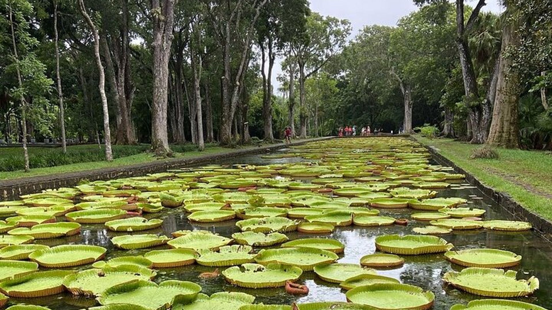 Mauritius Full Day Custom Tour with 8 Different Attractions