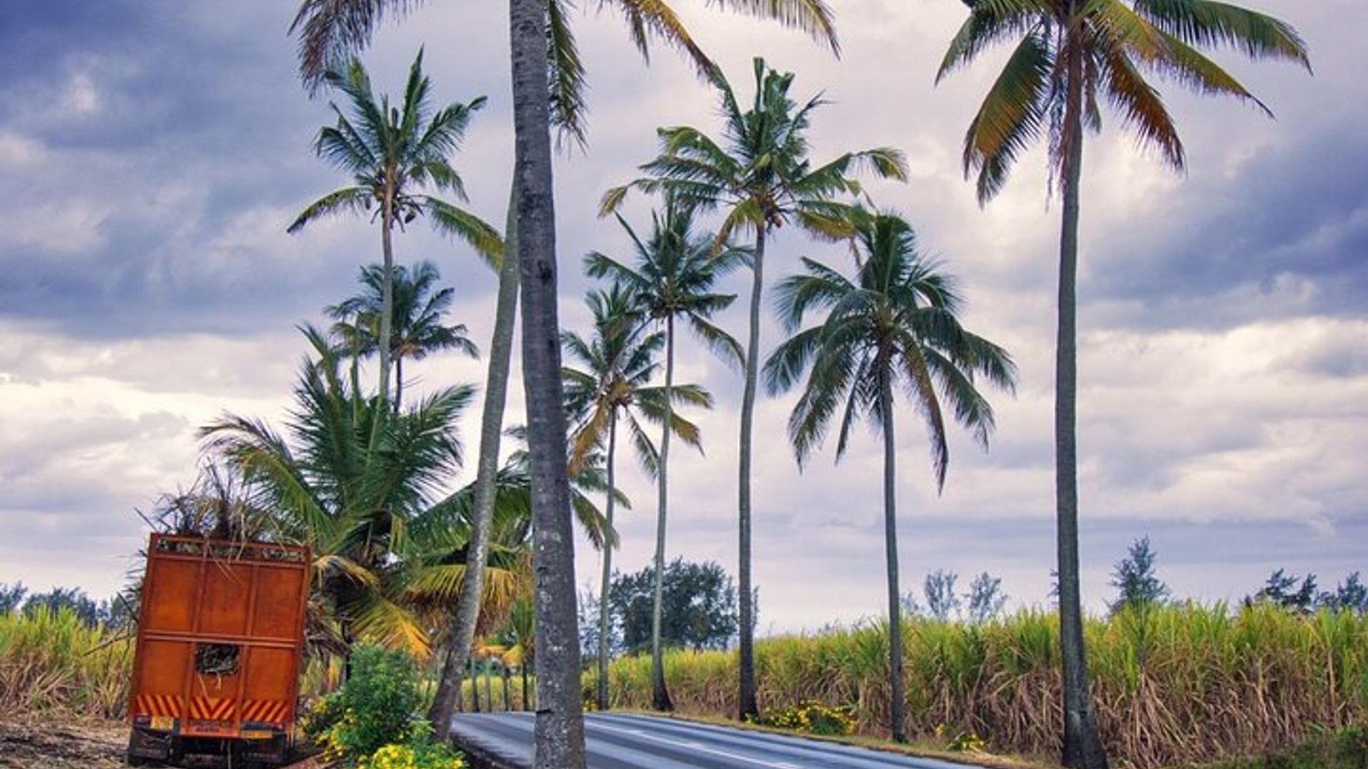 JOURNÉE COMPLÈTE Nord de l'île Maurice : Jardin botanique & L'Aventure Du Sucre