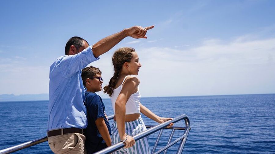 Benalmadena: Dolphin-Watching Group Boat Tour