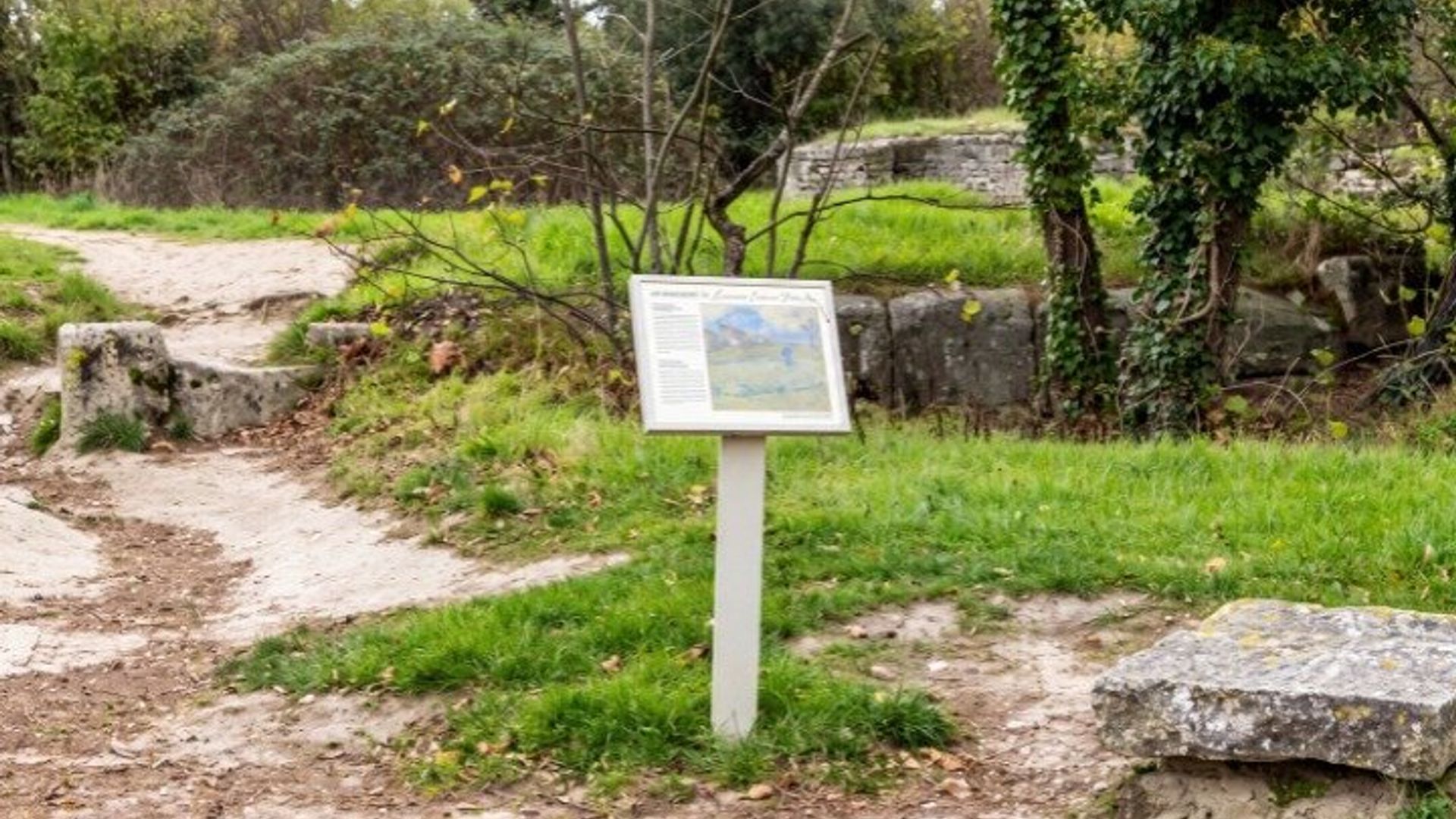 Tour a pie por Saint-Rémy-de-Provence Van Gogh
