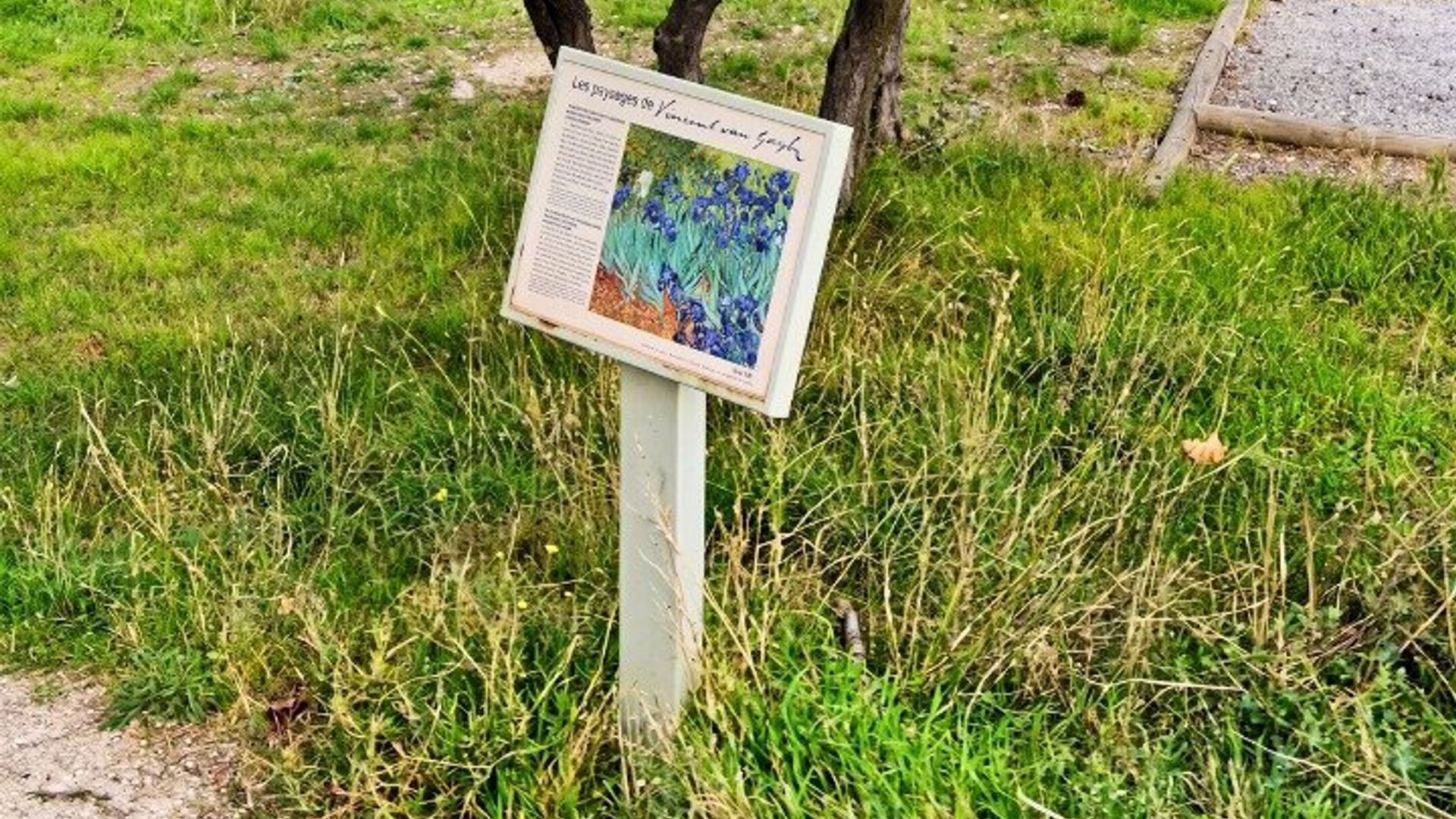 Tour a pie por Saint-Rémy-de-Provence Van Gogh