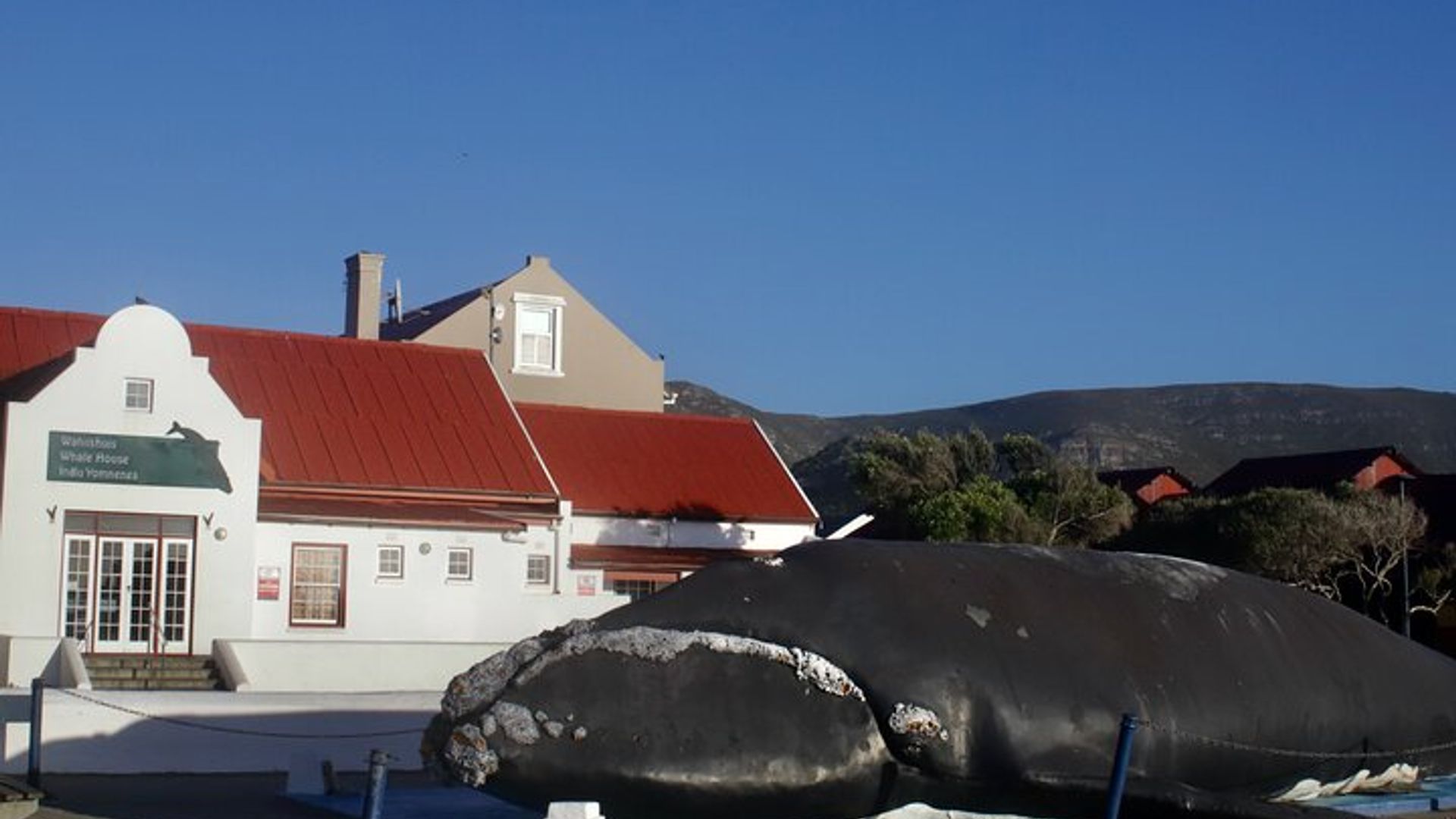 Hermanus Cliff Walk History Tour - a walk back in time