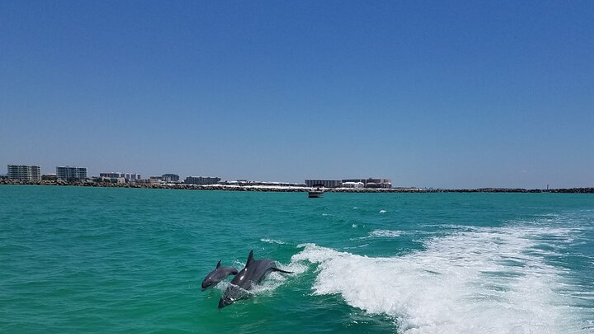 Experiencia de parasailing para grupos pequeños