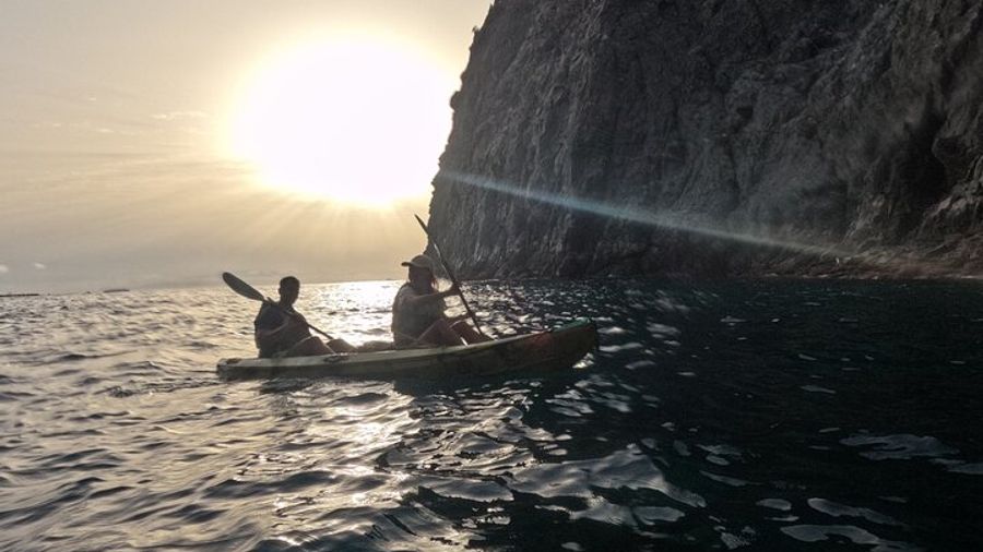 Guided Kayak Tour From Los Cristianos Beach Tenerife