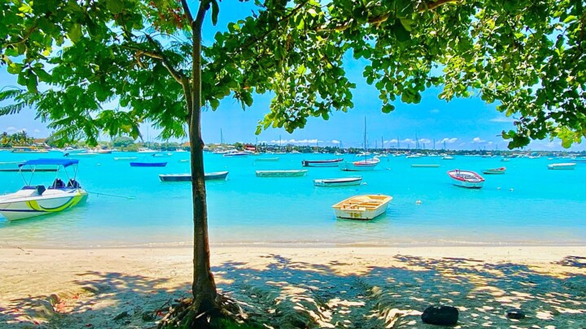 Mauricio : Odisea cultural privada del norte con recogida en el hotel