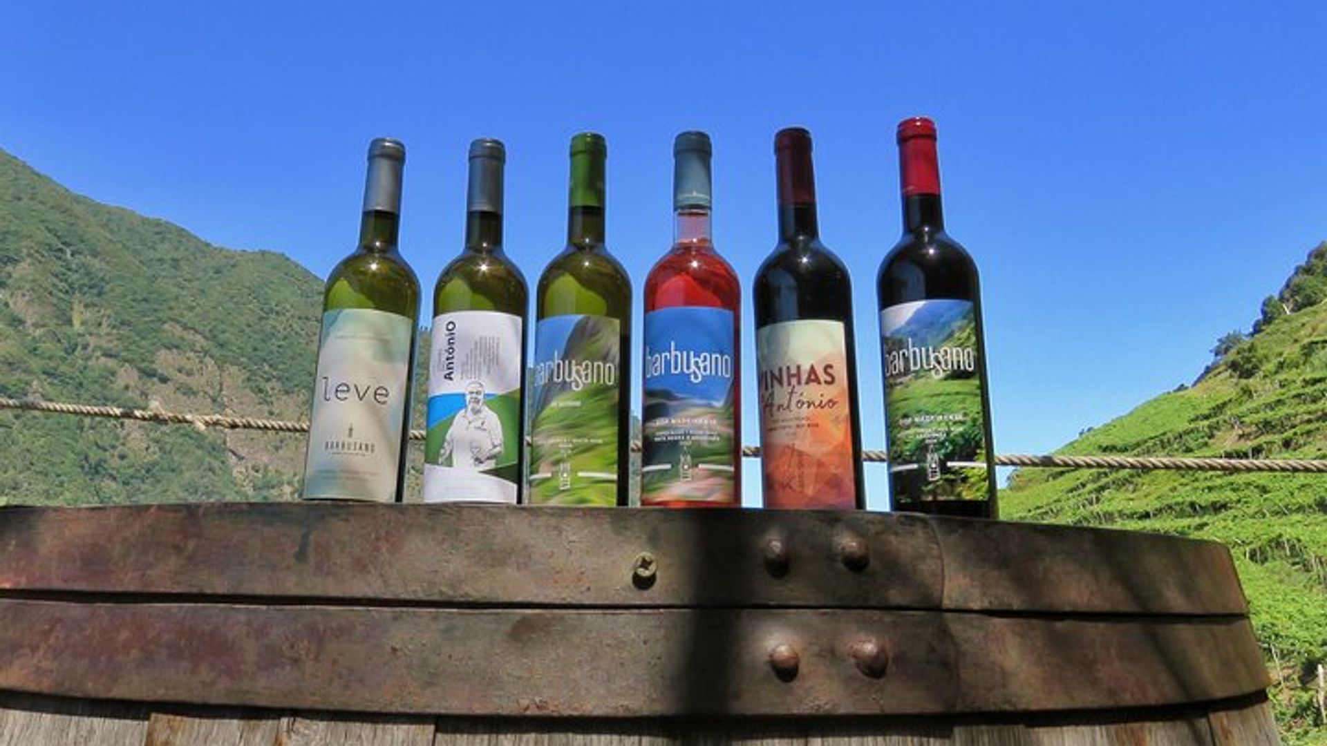 Wine & Cabo Girão Jeep Safari : Unveiling Madeira's Treasures