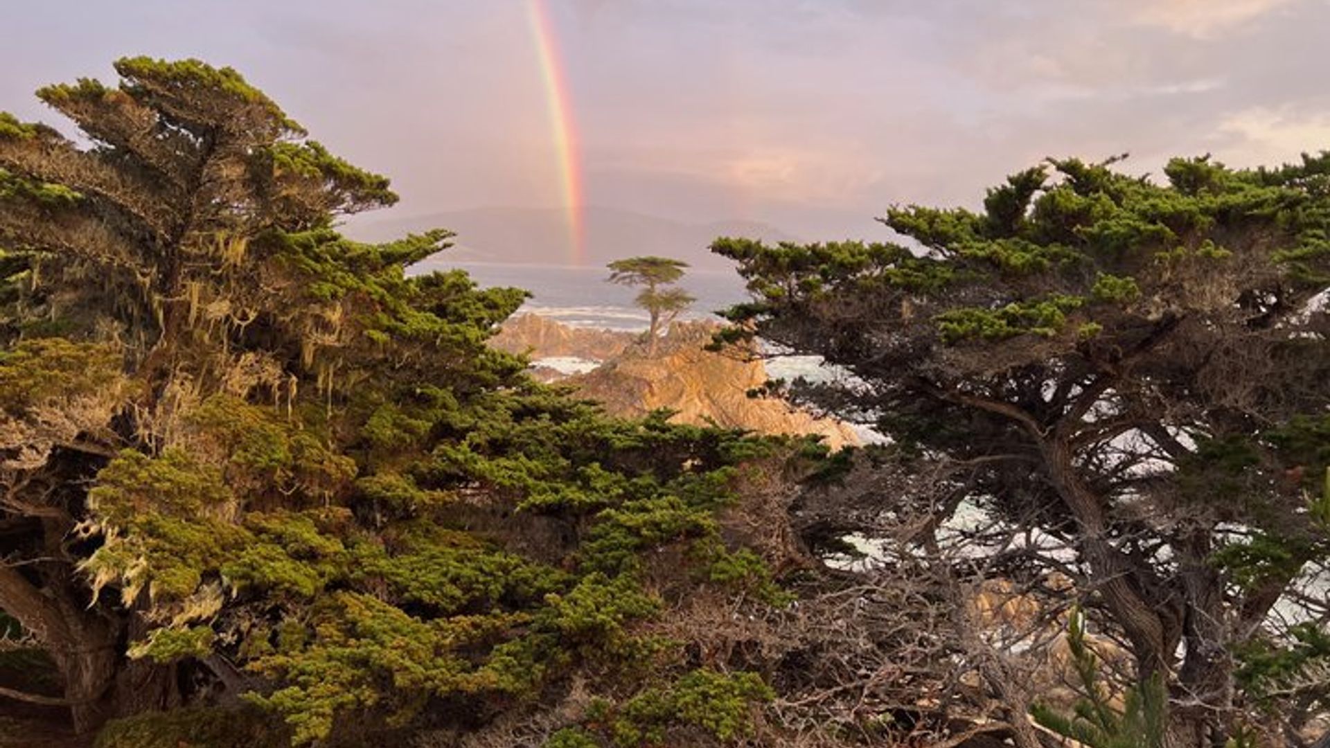 Carmel-by-the-Sea Electric Bike Tour With Guide