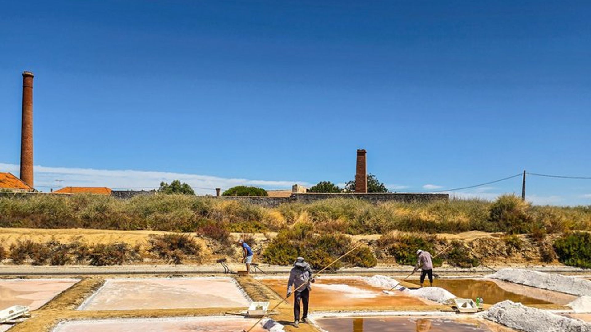 Tavira Tuk Tuk Tour: Historic Center & Wine Tasting