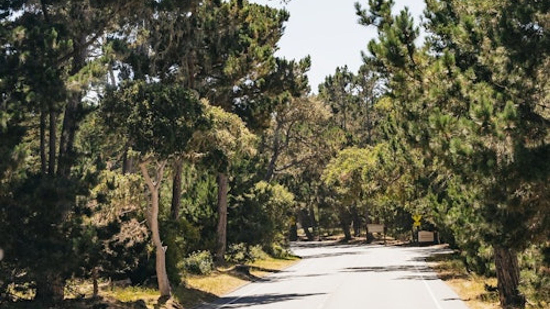 From San Francisco: Day Trip To Monterey and Carmel by the Sea image 3
