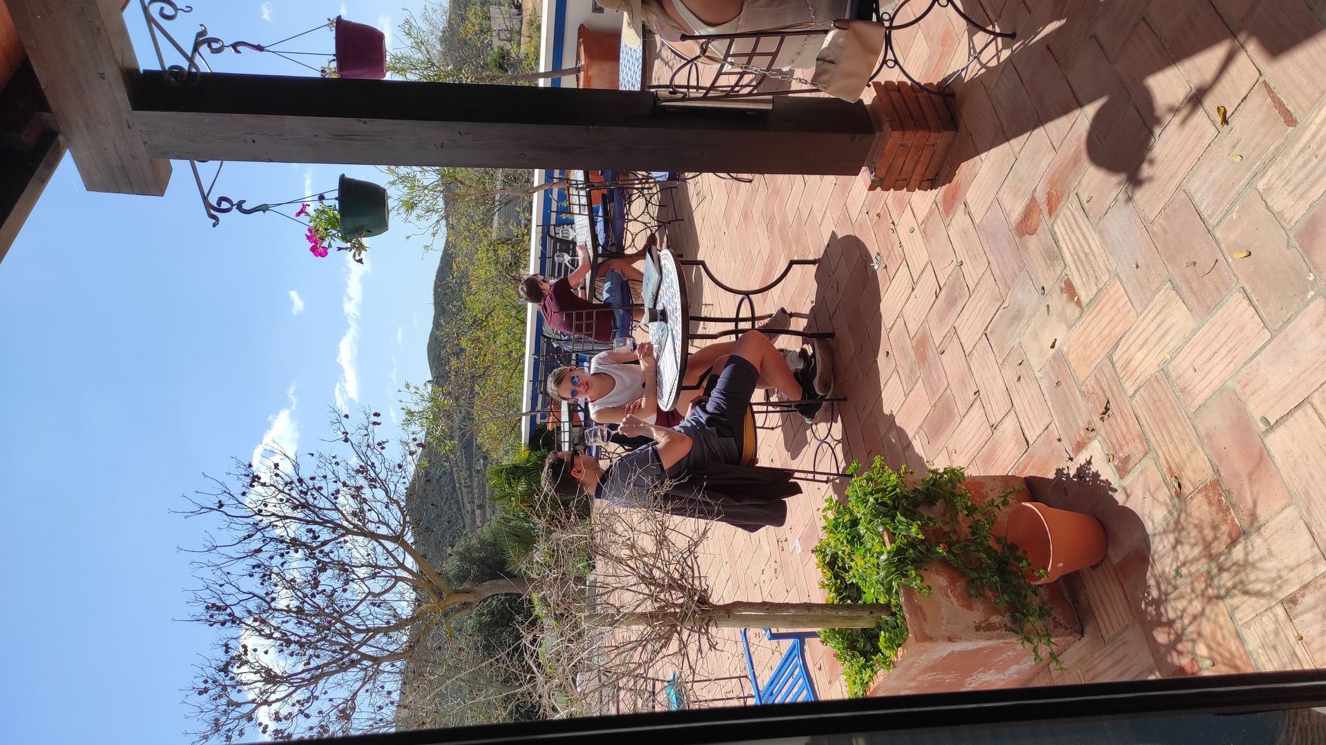 Albufeira Wine Tasting: Boutique Winery Tour & Historic Silves